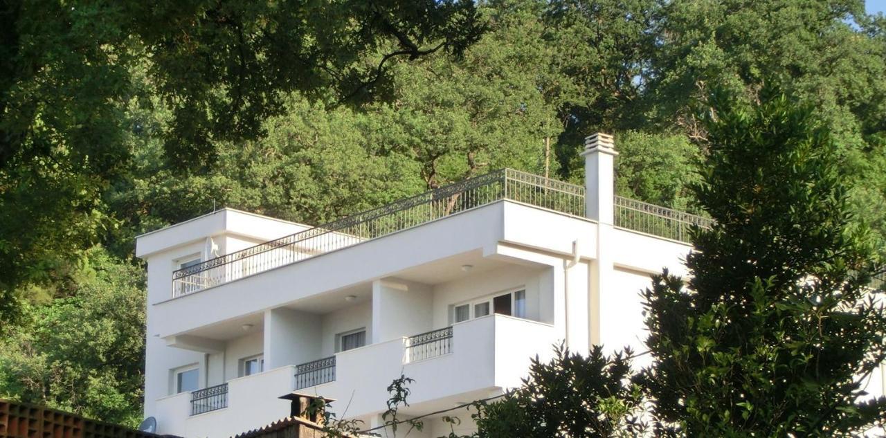 Villa Slovenika 布德瓦 外观 照片